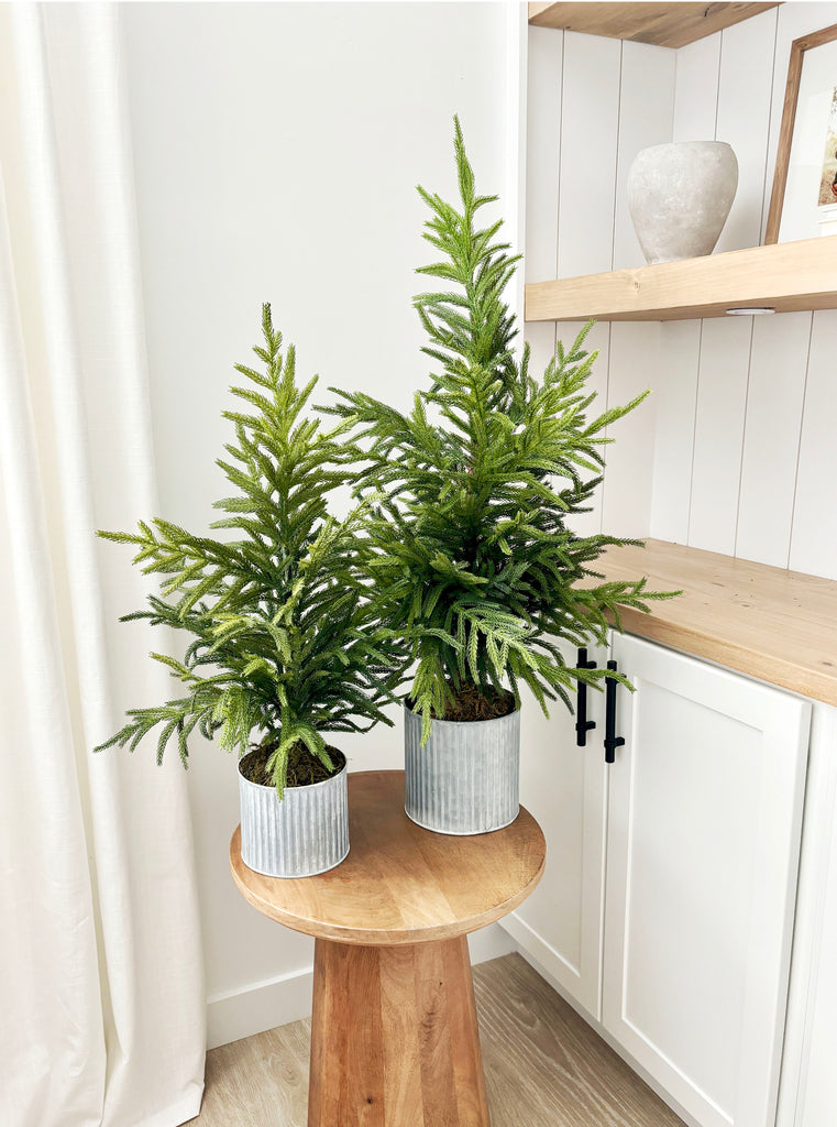 Norfolk Pine Faux Potted Tree | Cozy Cottontail
