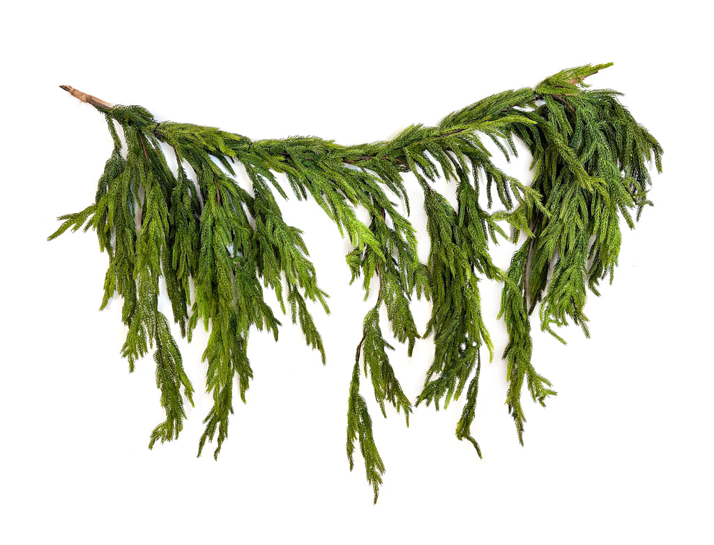 Natural Touch Norfolk Dripping Pine Garland - 40" x 27"