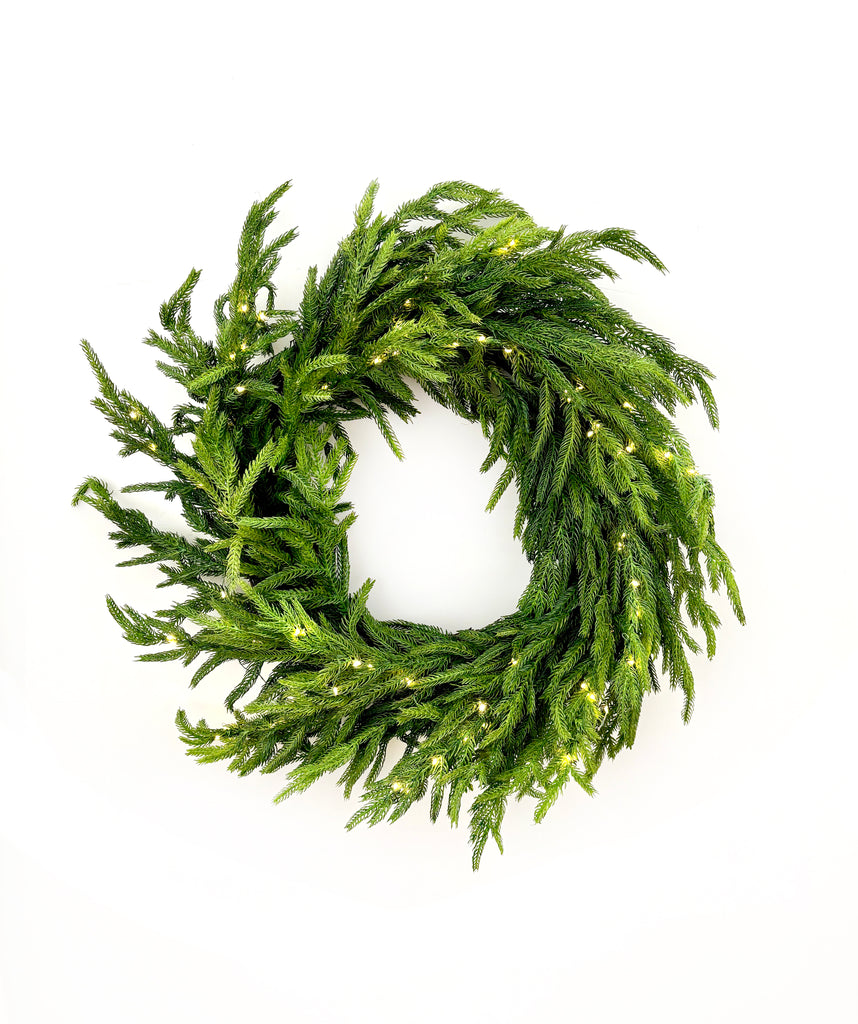 Pre-Lit Just Cut Norfolk Pine Wreath - 24"